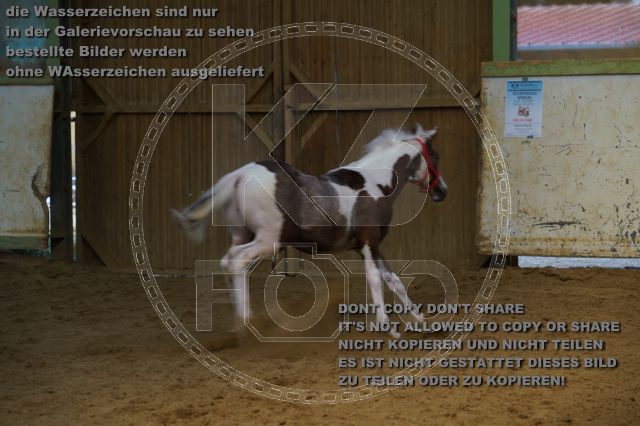 a_K3F03826.JPG